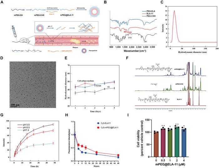 Characterization of mPEG@ELA-11 NPs.