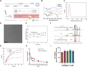 Characterization of mPEG@ELA-11 NPs.