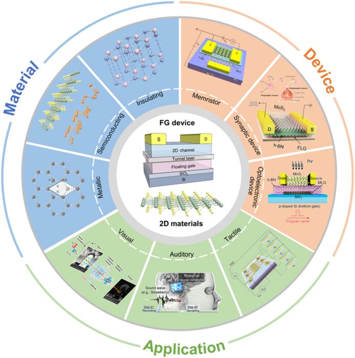 An overview of FG devices integrating 2D materials.