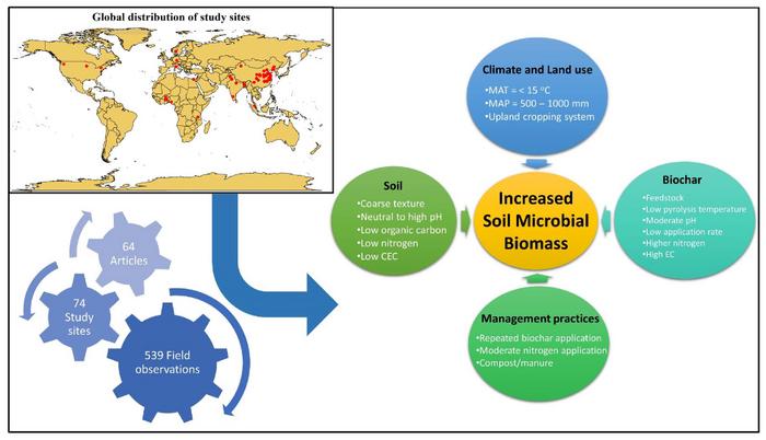 Impact of biochar amendment on soil microbial biomass carbon enhancement under field experiments: a meta-analysis