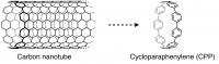 Cycloparaphenylene and Carbon Nanotube