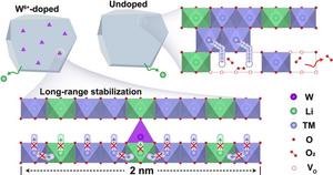 Tetrahedral-site W⁶⁺ dopants enable long-range structural stabilization in li-rich cathodes.