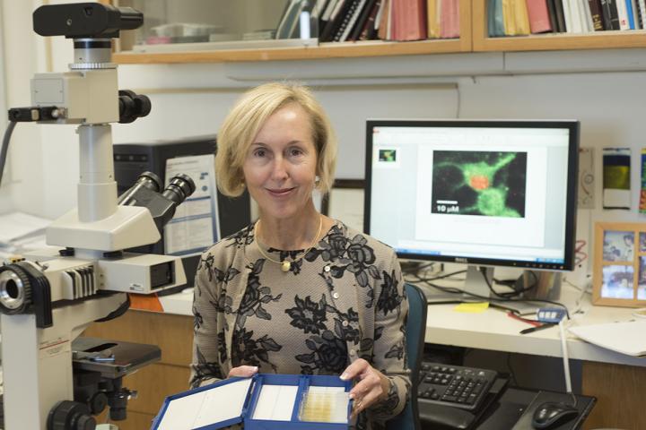 Karen O'Malley, 	Washington University School of Medicine