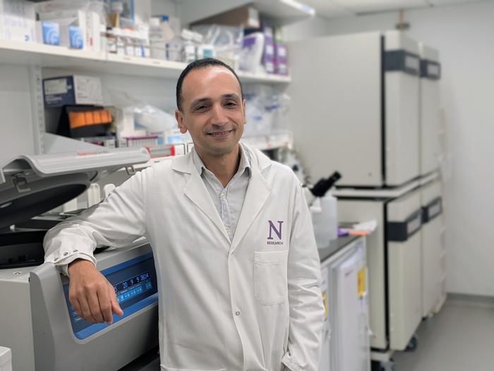 Study senior author Mohamed Abdel-Mohsen in his lab