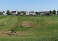 No Mow Zone