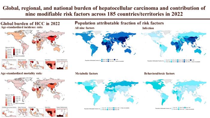 Global, regional, and national burden of hepatocellular carcinoma and contribution of nine modifiable risk factors across 185 countries/territories in 2022