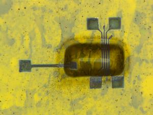 Printed Flexible Transistor
