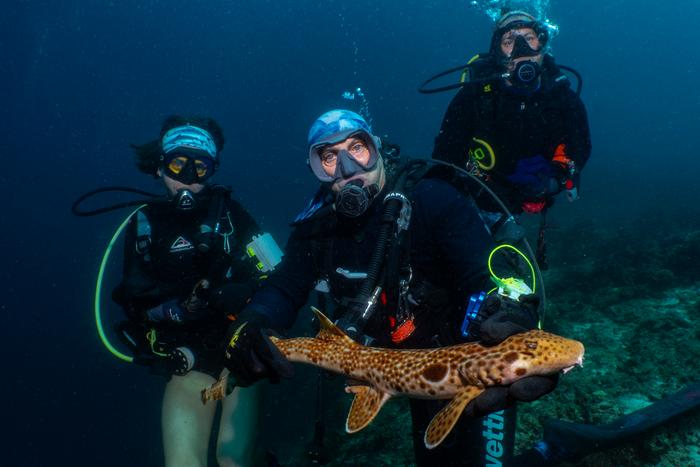 J Blakeway (l-r), M Erdmann, C Dudgeon with the new species