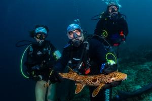 J Blakeway (l-r), M Erdmann, C Dudgeon with the new species