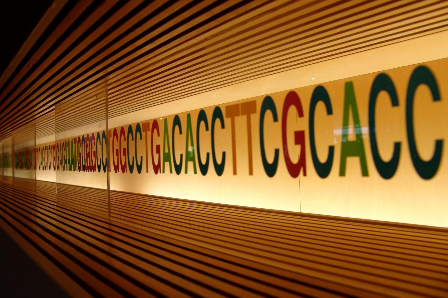 Improve Evolution Education by Teaching Genetics First