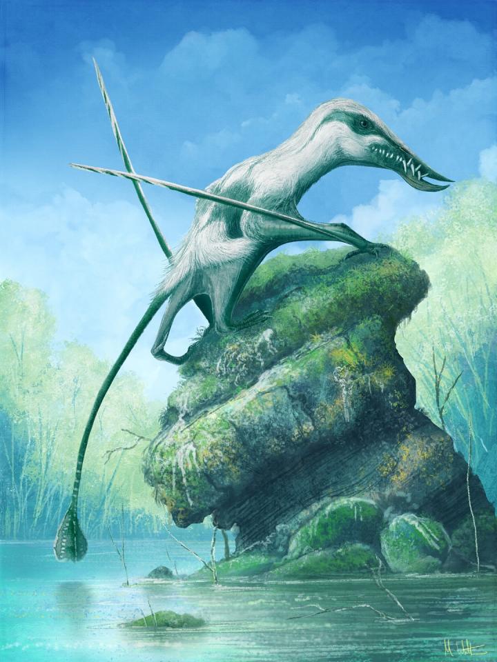 <em>Klobiodon</em>