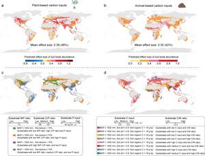 Global predictions and site-specific strategies to boost soil biota abundance and multifunctionality under carbon farming