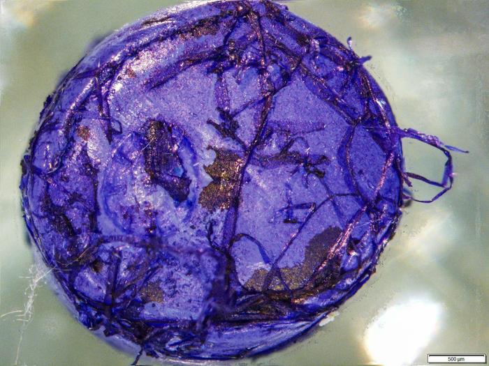 Polyethylene biofilm