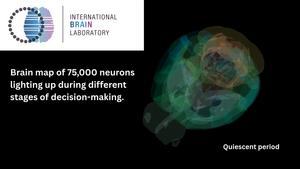 Brain-wide map (landscape)