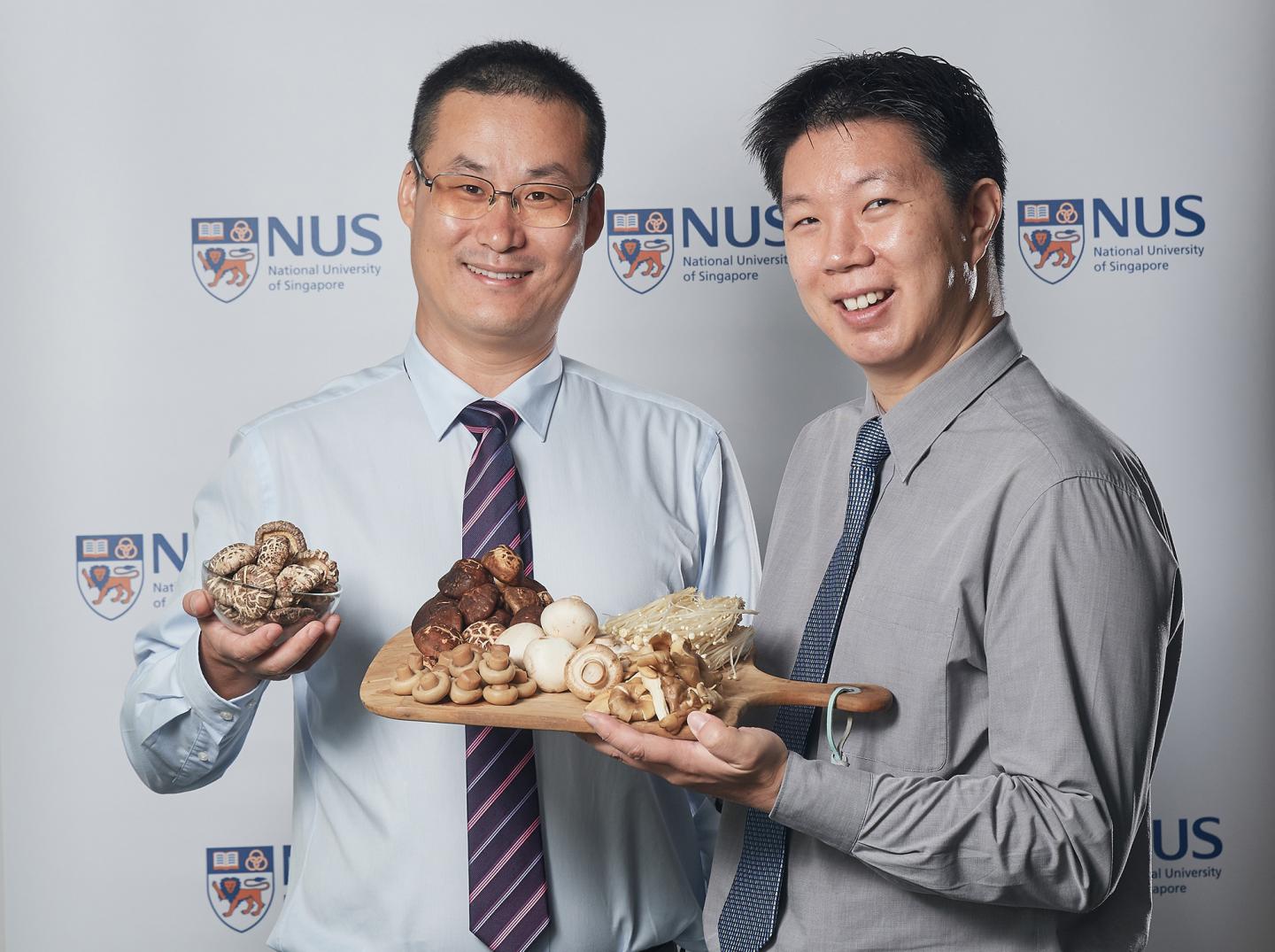 Lei Feng and Irwin Cheah, National University of Singapore