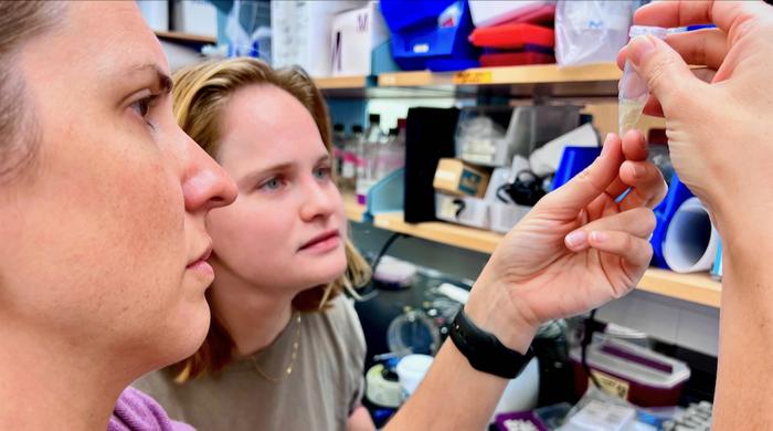 Deep-sea fish confirmed as a significant source of ocean carbonate