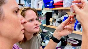 Deep-sea fish confirmed as a significant source of ocean carbonate
