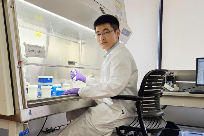 Dr. Meng Wang