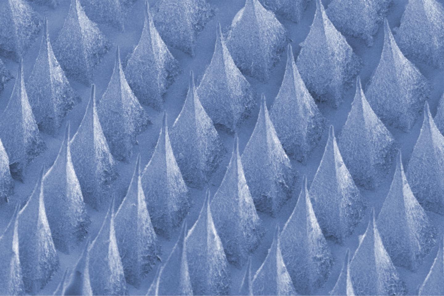 Blue Peaks Electron Microneedles