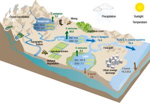 Conceptual model of driving mechanisms associated with dissolved carbon storage and flux and China’s inland water carbon budget