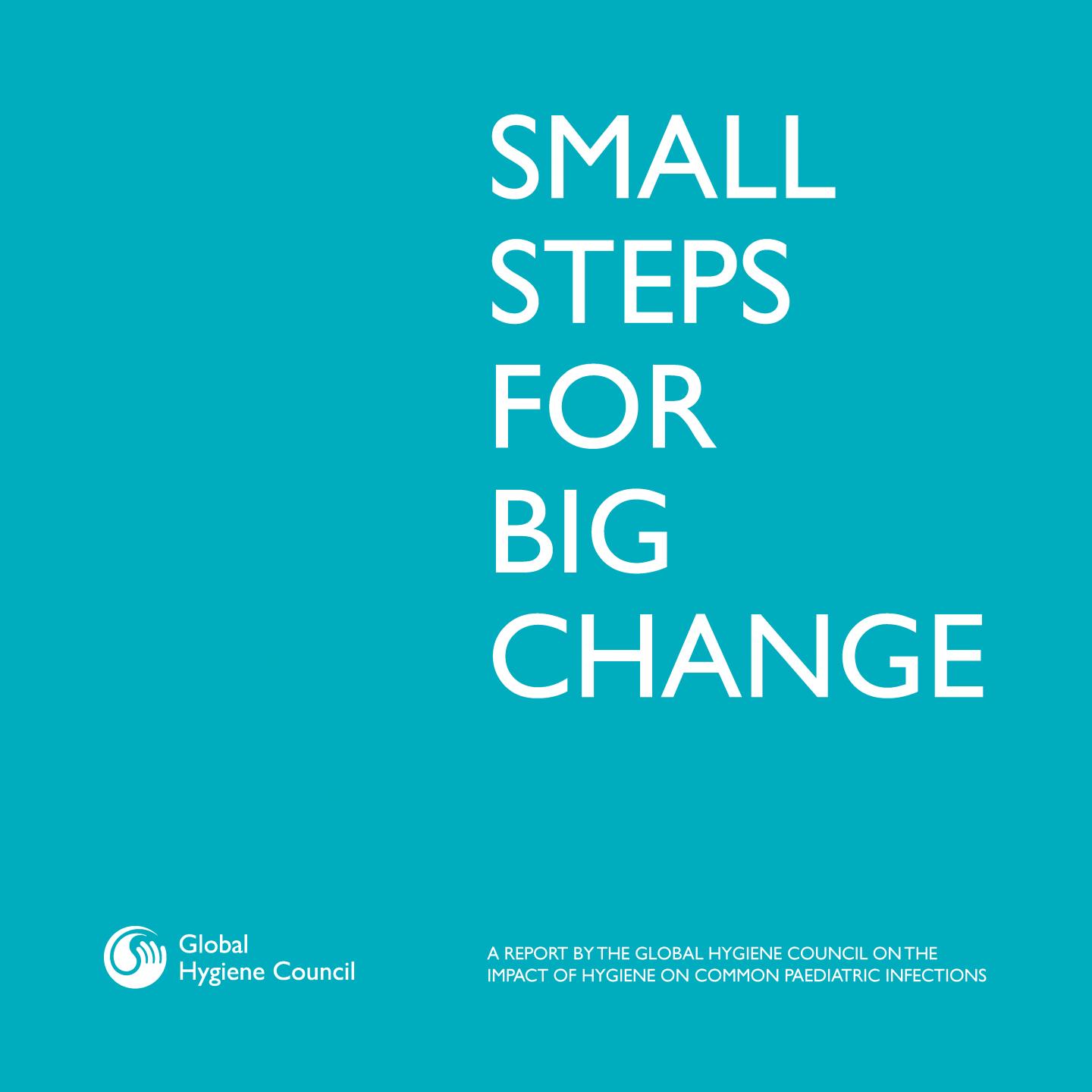 #SmallStepsForBigChange Report