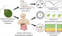 Algae and Gastro Graphic