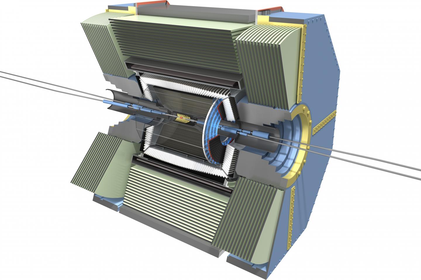 Belle II Detector