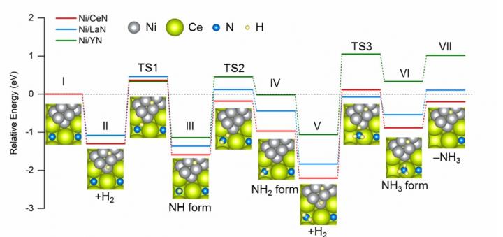 Energy profiles of intermediate steps during ammonia synthesis