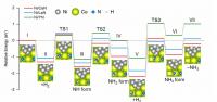 Energy profiles of intermediate steps during ammonia synthesis