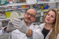 Assaf Gilad and Galit Pelled, Michigan State University