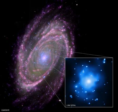 Composite Image of M81 with Inset