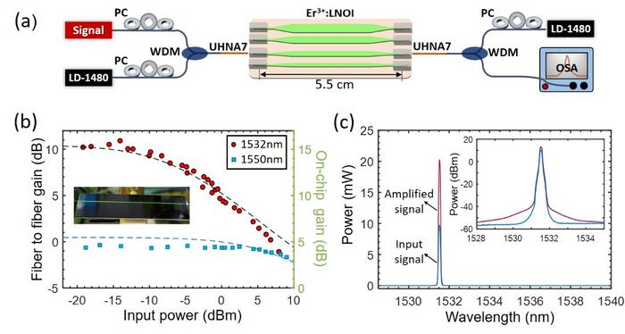 Gain characterization of the EDWA chip