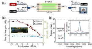 Gain characterization of the EDWA chip