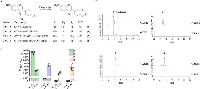 Figure 4. Identification and analysis of pathway metabolites.
