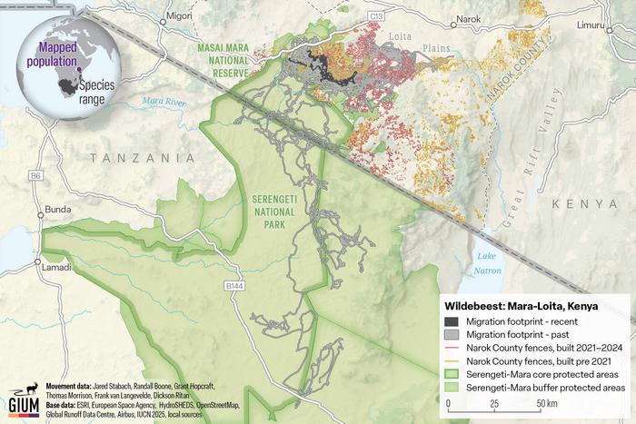Wildebeest Migration Map