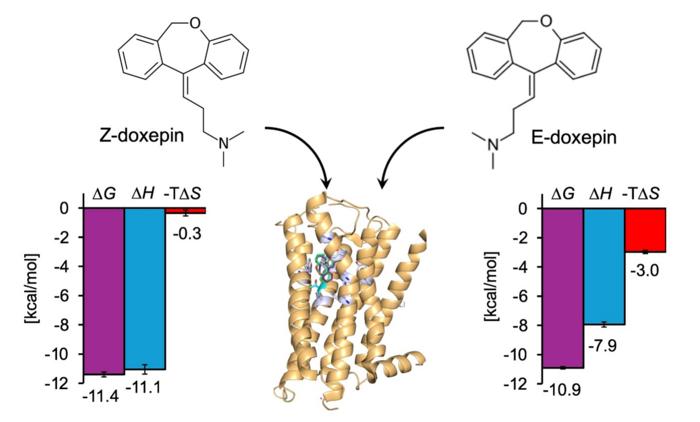 Differences in the Binding Thermodynamics of Doxepin Isomers