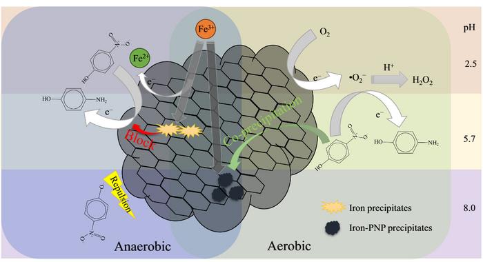 Biochar-mediated degradation of p-nitrophenol as influenced by species of Fe(III)