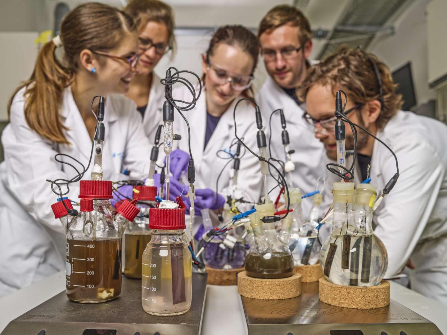 Research Team