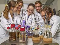Research Team