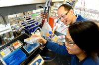 Chris Chang in the Lab
