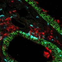 Science Image