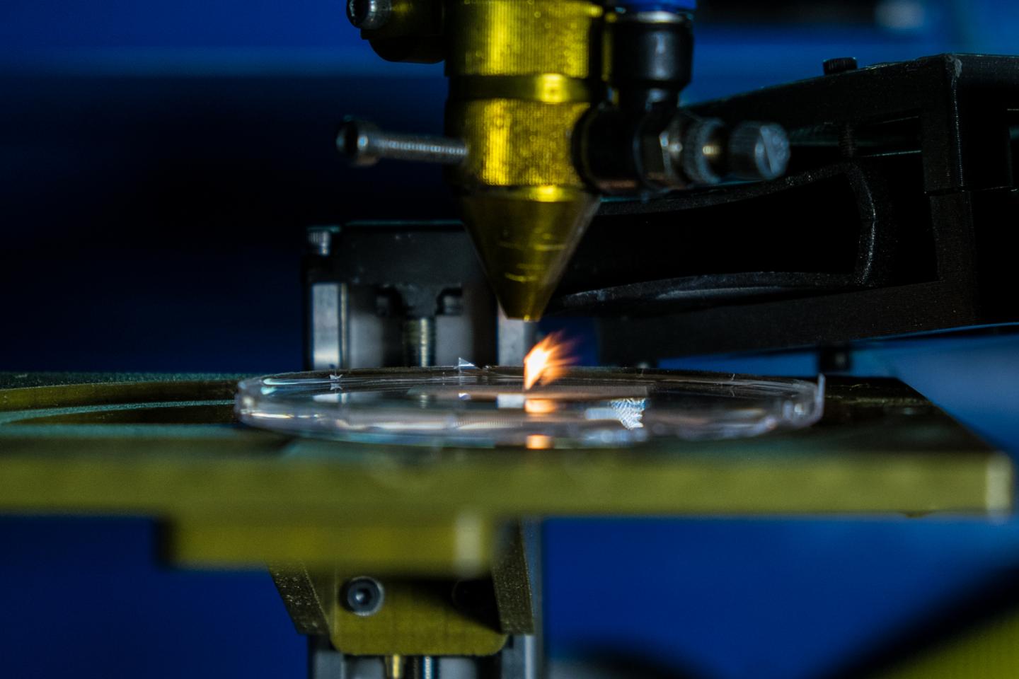 Rice U'S Cost-Saving Microwell Fabrication Technique