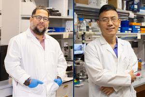 Dr. Kessinger and Dr. Lin in laboratory