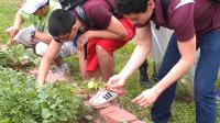 University of Houston Comprehensive Student Success Program