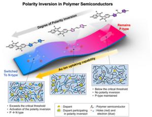 Schematic illustration of p-type to n-type polarity inversion in polymer semiconductors as a function of dopant uptake capability