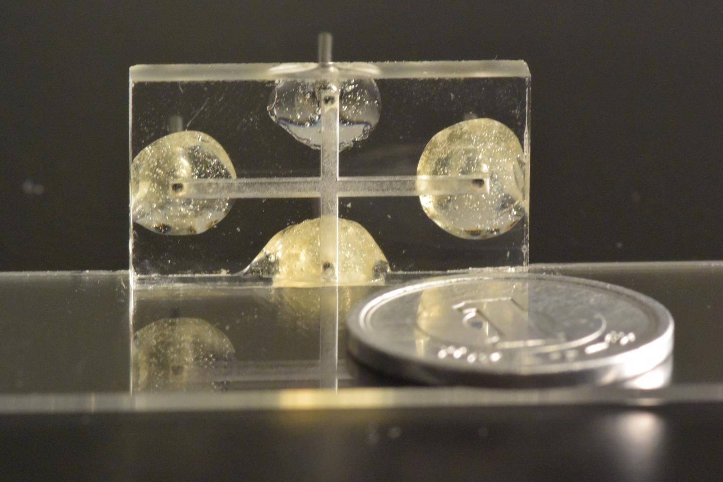 Microfluidic Device