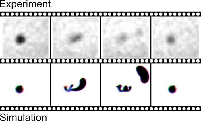Experiment Simulation: Detachment of a new skyrmion