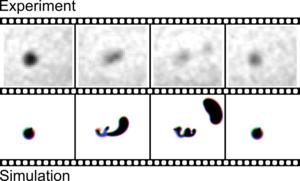 Experiment Simulation: Detachment of a new skyrmion