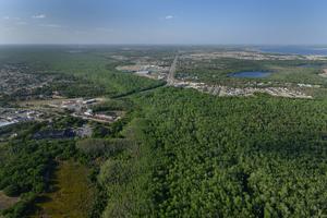 Aerial View Florida Wildlife Corridor