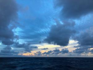 Open ocean field station
